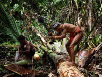 /album/fotogaleria-mentawai-ostrov-ludozrutov-zajazd-vy-a-my/mentaway-siberut-zajazd-jamajkanita-88-jpg/